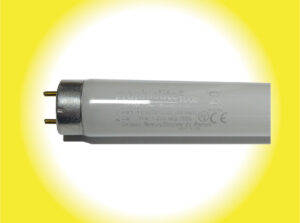 F58T8-GL50-D50-60 LAMPARAS FLUORESCENTES